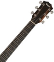 Taylor 214ce