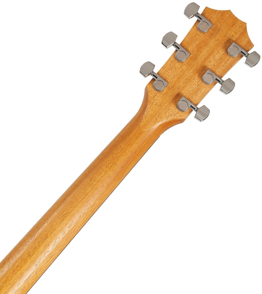 Taylor 214ce