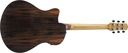 Ibanez Advanced Auditorium 6-String Acoustic-Electric Guitar (Transparent Charcoal Burst Low Gloss)