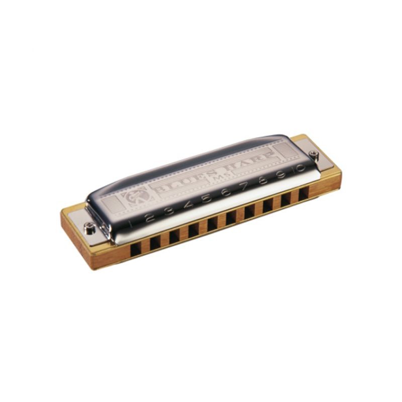 HOHNER Mondharmonica, Blues Harp MS, D, kleine doos