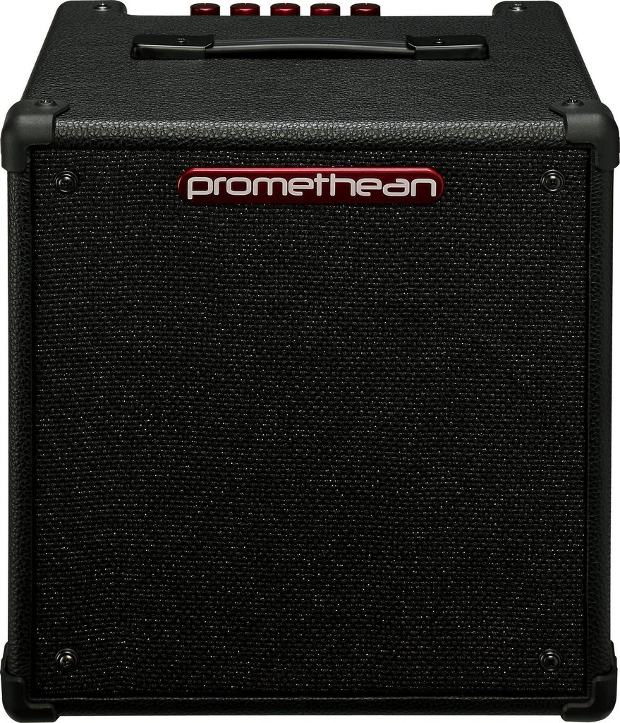 Ibanez - P20 Small Bass Combo